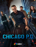 Chicago PD S02E01