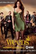 Weeds S03E01
